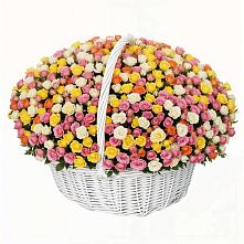 Премиум букет из: Розы в Хурбе