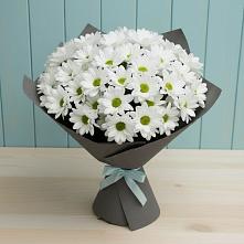 Букет цветов из:  Хризантемы в Хурбе