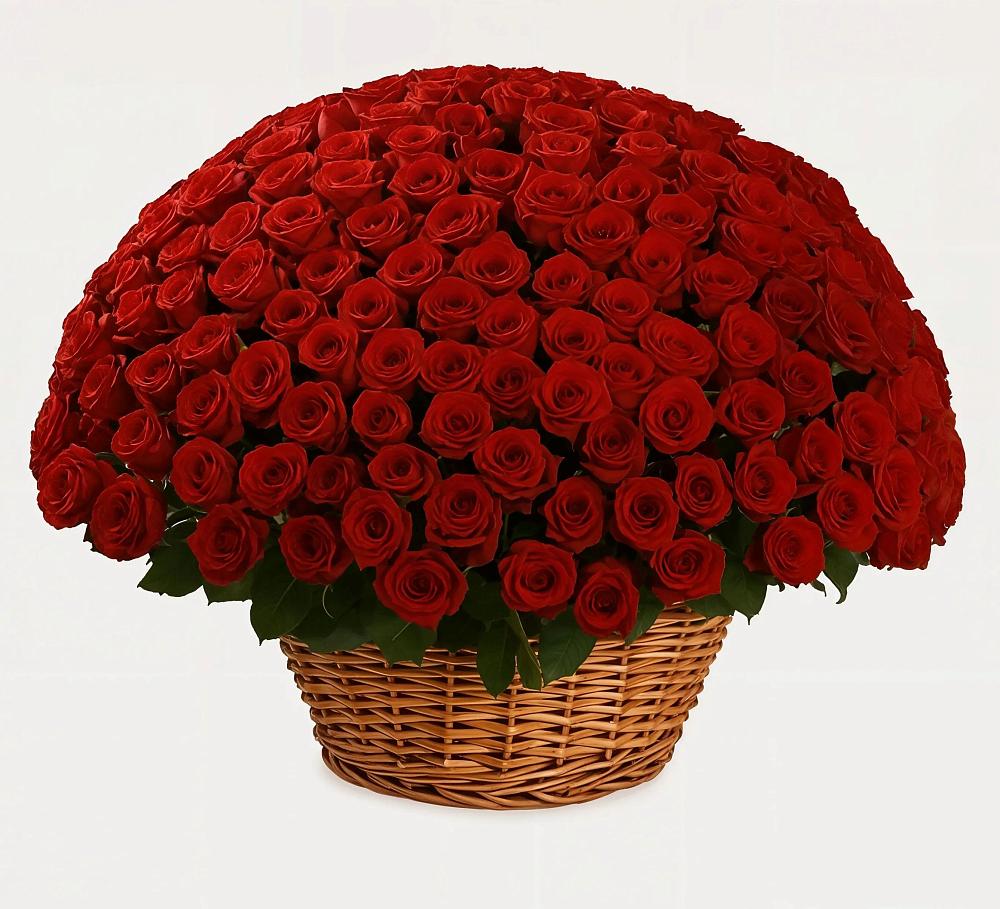 Премиум букет из: Розы в Хурбе