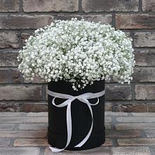 Цветочная композиция из Гипсофила в шляпной коробке #REPLACE_PRED# Хурбе