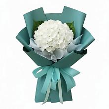 Букет цветов из:  Гортензия в Хурбе